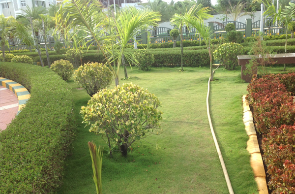 terrace gardens in chennai, swimming pool designers in chennai, swimming pool maintenance in chennai, gardening in chennai,